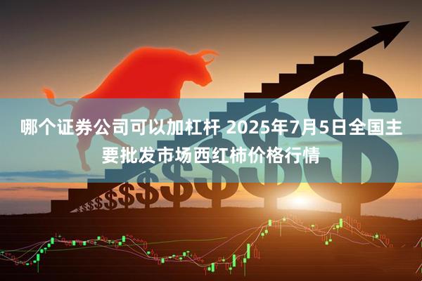 哪个证券公司可以加杠杆 2025年7月5日全国主要批发市场西红柿价格行情